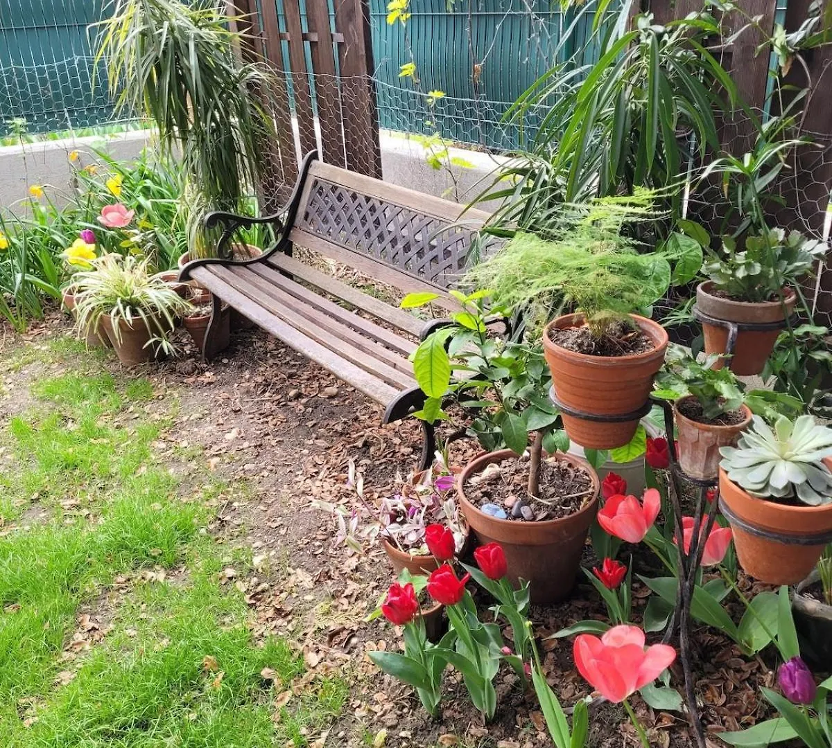 리옹 Peaceful Haven With Garden And Pool 아파트